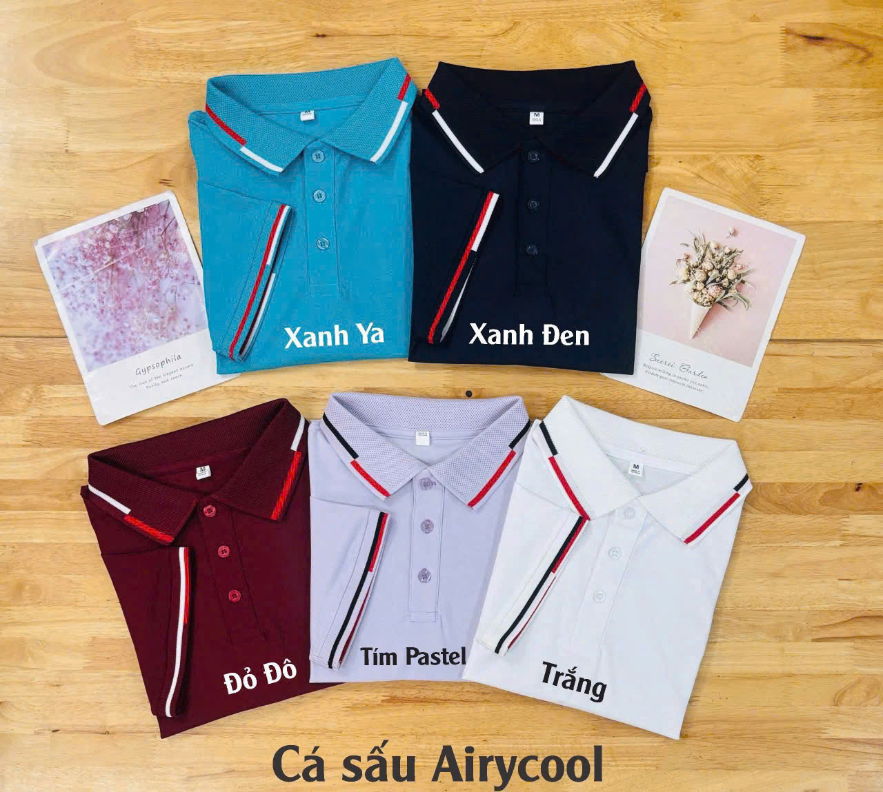 áo thun cá sấu Kiến Bách Á